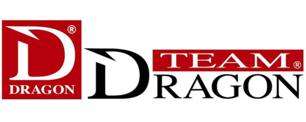 Team Dragon